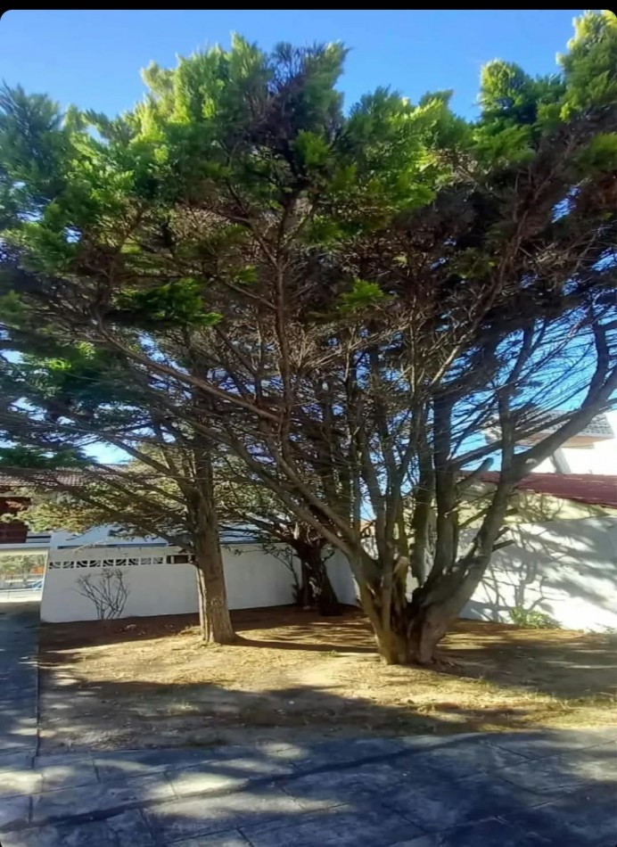 Santa Teresita - Impecable Duplex al frente con excelente capacidad a 100 metros del mar